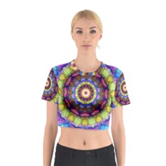 Rainbow Glass Cotton Crop Top from ArtsNow.com