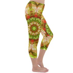 Capri Winter Leggings  