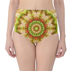 Classic High-Waist Bikini Bottoms 