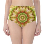 Red Green Apples Mandala High-Waist Bikini Bottoms