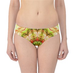 Hipster Bikini Bottoms 