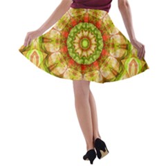 A-line Skater Skirt 