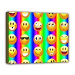 Rainbow emojis Deluxe Canvas 20  x 16  (Stretched)