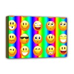 Rainbow emojis Deluxe Canvas 18  x 12  (Stretched)