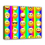 Rainbow emojis Deluxe Canvas 24  x 20  (Stretched)