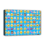 teal Emoji Deluxe Canvas 18  x 12  (Stretched)