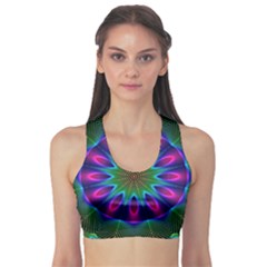 Fitness Sports Bra 