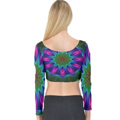 Long Sleeve Crop Top 