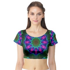 Short Sleeve Crop Top 