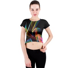 Crew Neck Crop Top 