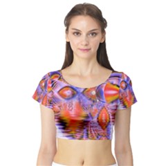 Short Sleeve Crop Top 