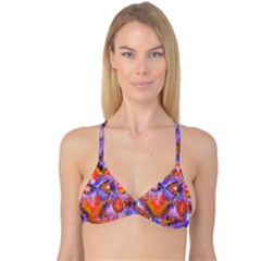 Reversible Tri Bikini Top 