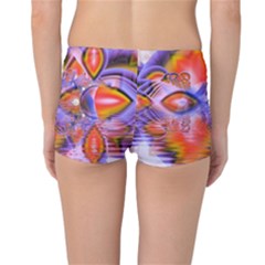 Reversible Boyleg Bikini Bottoms Outside Back