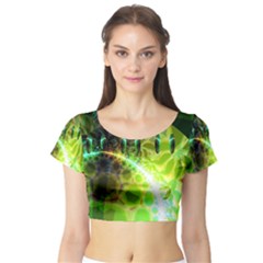 Short Sleeve Crop Top 