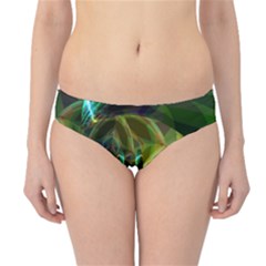 Hipster Bikini Bottoms 