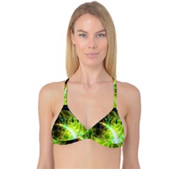 Reversible Tri Bikini Top 