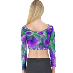 Long Sleeve Crop Top 