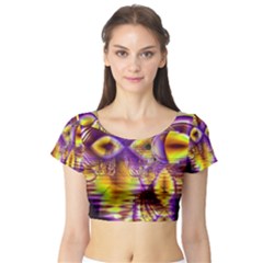 Short Sleeve Crop Top 