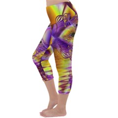 Capri Winter Leggings  Back