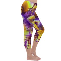 Capri Winter Leggings  