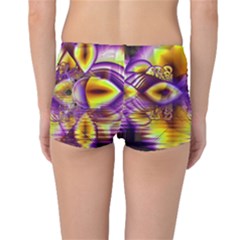 Boyleg Bikini Bottoms Back