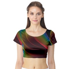 Short Sleeve Crop Top 