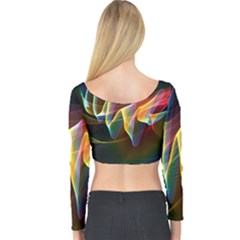 Long Sleeve Crop Top 