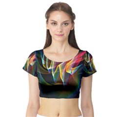 Short Sleeve Crop Top 