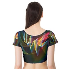 Short Sleeve Crop Top 