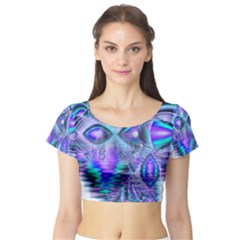 Short Sleeve Crop Top 