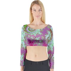 Long Sleeve Crop Top 