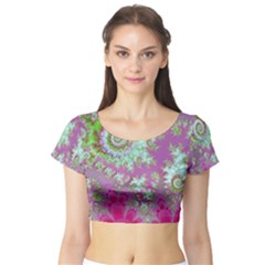 Short Sleeve Crop Top 