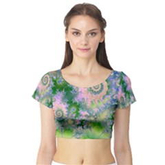 Short Sleeve Crop Top 