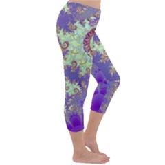 Capri Winter Leggings  