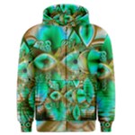 Spring Leaves, Abstract Crystal Flower Garden Men s Zipper Hoodie