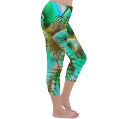 Capri Winter Leggings  