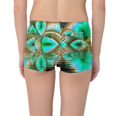 Boyleg Bikini Bottoms Back