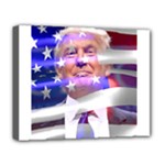 Donald Trump flag Deluxe Canvas 20  x 16  (Stretched)