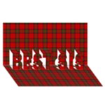 Clan Steward Tartan BEST SIS 3D Greeting Card (8x4)