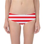 Horizontal Stripes - White and Red Classic Bikini Bottoms