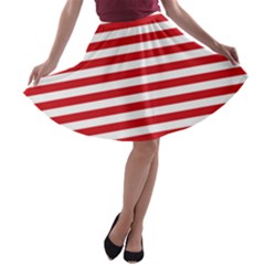 A-line Skater Skirt 