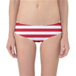 Horizontal Stripes - White and Fire Engine Red Classic Bikini Bottoms