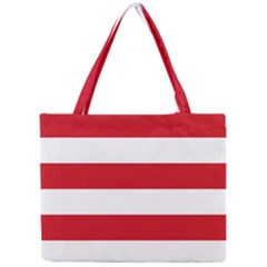 Mini Tote Bag 