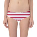 Horizontal Stripes - White and Cardinal Red Classic Bikini Bottoms