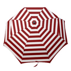 Folding Umbrella 