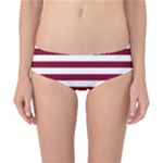 Horizontal Stripes - White and Burgundy Red Classic Bikini Bottoms