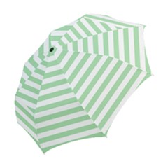 Folding Umbrella 