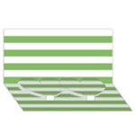 Horizontal Stripes - White and Dollar Bill Green Twin Heart Bottom 3D Greeting Card (8x4)