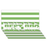 Horizontal Stripes - White and Dollar Bill Green BEST BRO 3D Greeting Card (8x4)