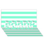 Horizontal Stripes - White and Aquamarine SORRY 3D Greeting Card (8x4)